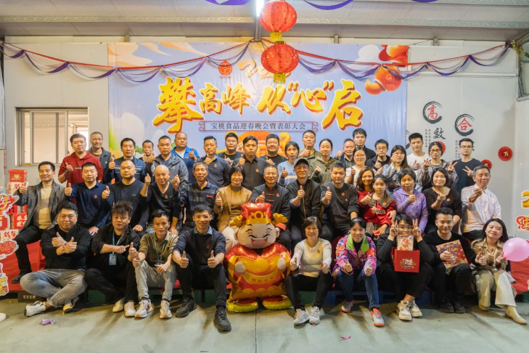 宝桃公司2025年迎春晚会-攀高峰 从“心”启 宝桃公司2025年迎春晚会-攀高峰 从“心”启